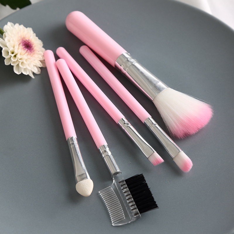 5PCS makeup brush set eyeshadow brush