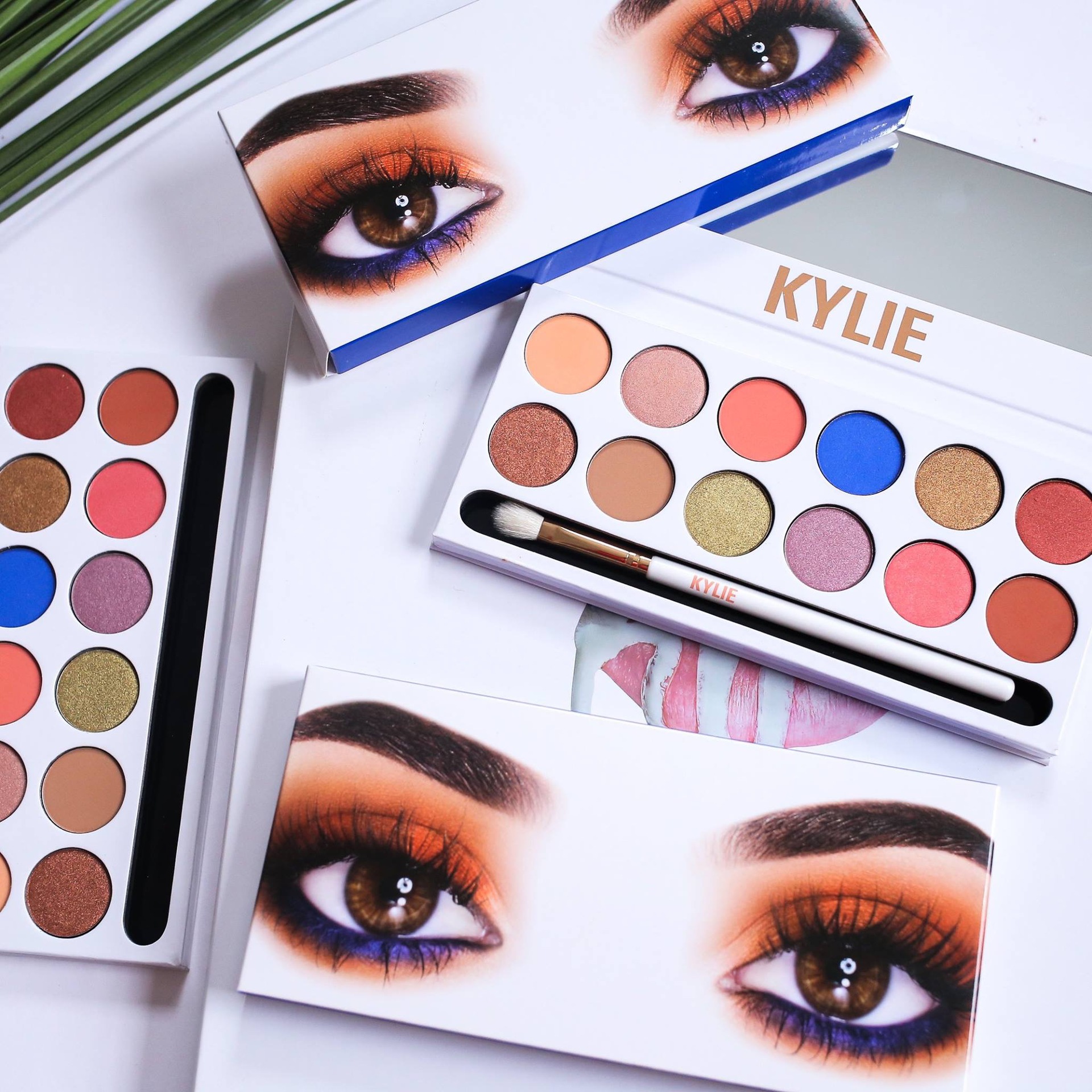 12 Colors KY eyeshadow palette